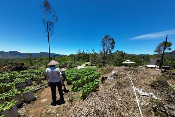 Bandung Volcano Sightseeing and Hot Spring Private Tour - The Southern Route Starts at White Crater
