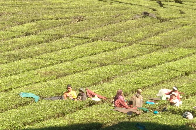 Bandung Volcano Sightseeing and Hot Spring Private Tour - Tangkuban Perahu Requires Careful Timing
