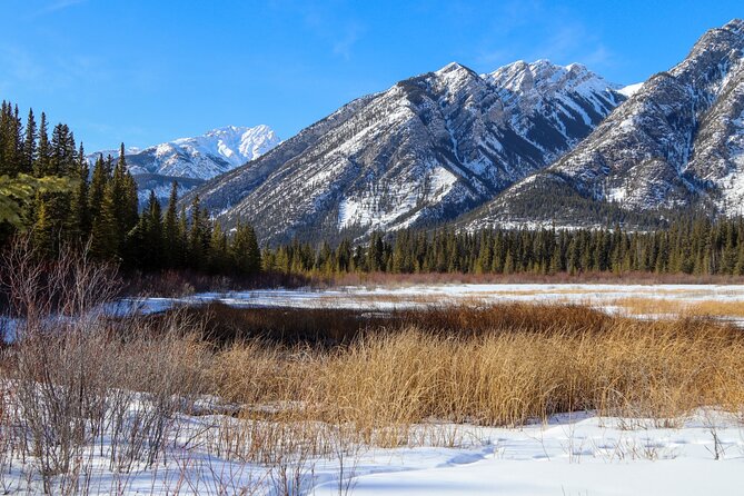 Banff Cave & Hot Springs Audio Walking Tour (Not a Ticket) - Sulphur Mountain and the Cosmic Ray Station