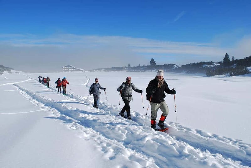 Bansko: Easy snowshoeing Pirin National Park & thermal spa - Key things to know before booking