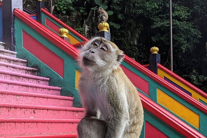 Batu Caves,Waterfalls and Hot Springs Tour With Lunch - Leaving Kuala Lumpur at 9:00 am
