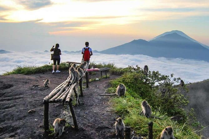 Batur Sunrise Trekking & Hot Springs - The early hotel pickup and drive to Kintamani