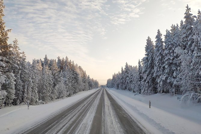 Best Of Lapland: Sauna, Ice swimming, Dinner & Northern Lights - The guides and the small-group atmosphere