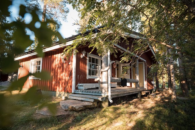 Best Of Lapland: Sauna, Ice swimming, Dinner & Northern Lights - Is $189.94 a fair price?