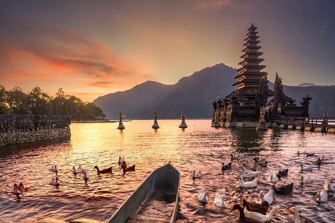 Best Ubud Tour with Instagrammable Jungle Swing all inclusive - Why the private driver changes the day