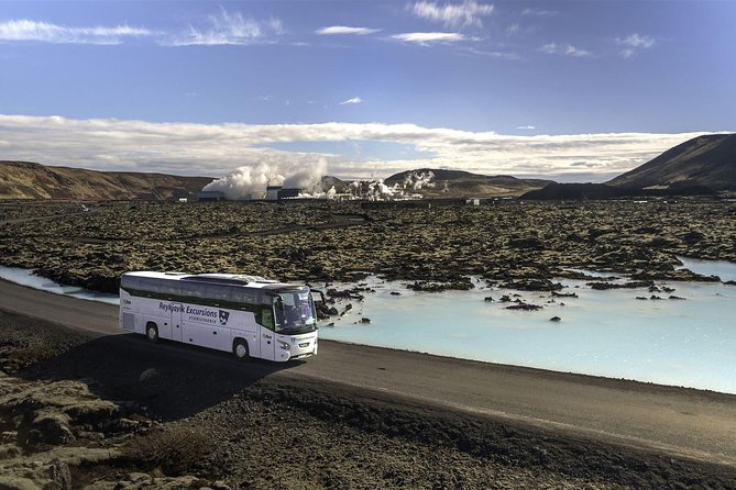 Blue Lagoon & Northern Lights Tour from Reykjavik - Who will like this tour most