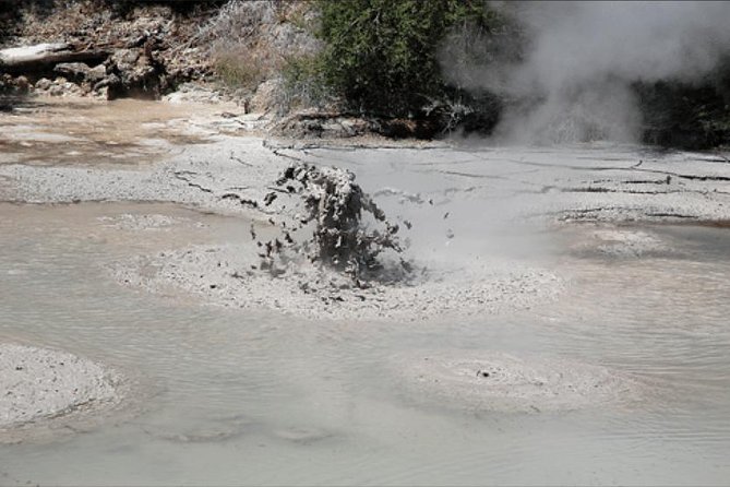 Boutique tour , Mt Maunganui, NZ farm, Rotorua lakes/geothermal - Mt Maunganui gives you a coastal beginning