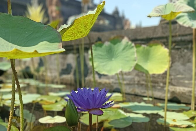 Brahmavihara Arama Banjar Hot Spring Ulundanu Bratan Private Tour - What the $39 price gets you