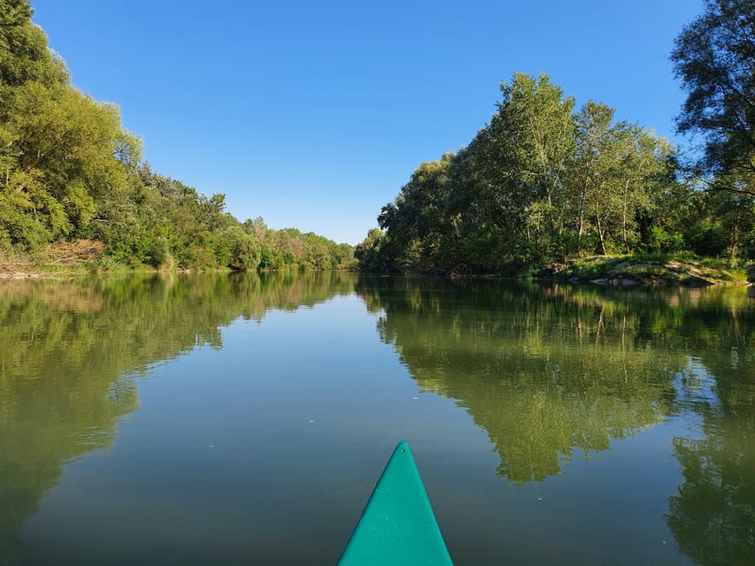 Budapest: Canoeing the Danube w or wo Sauna or Danube Beach - Should you book the Danube canoe trip?