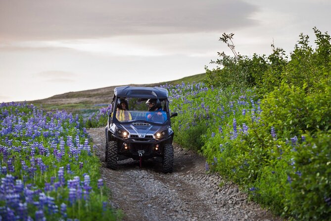 Buggy & Sky lagoon full day adventure in Reykjavik - Is $349 a fair price?