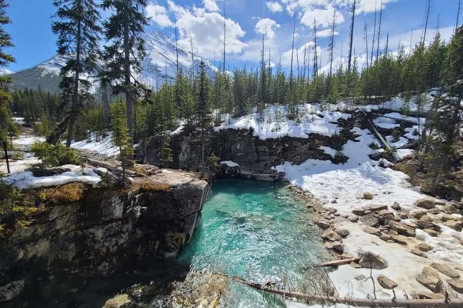 Calgary: Radium Hot Springs & Marble Canyon Day Trip - What the $64 price really covers