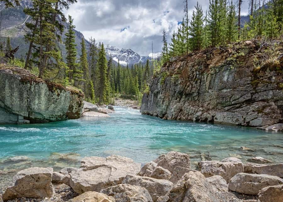 Calgary: Radium Hot Springs & Marble Canyon Day Trip - The long road from Calgary to the canyon