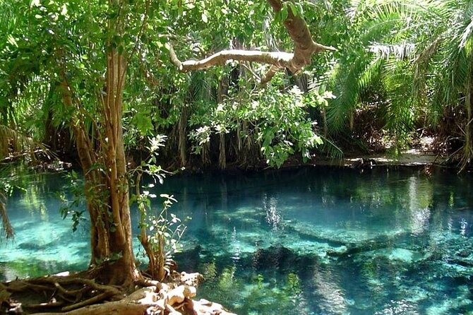 Chemka Hot Springs Day Trip - What the guide may add to the day