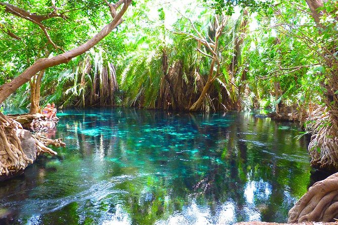 Chemka Hot Springs Tour from Moshi - Key points to know before you book
