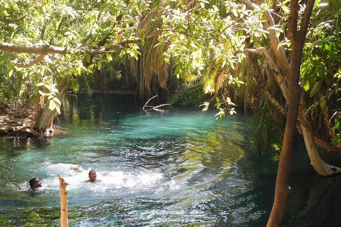 Chemka (Kikuletwa) Hot Springs, Tanzania - Key points at a glance