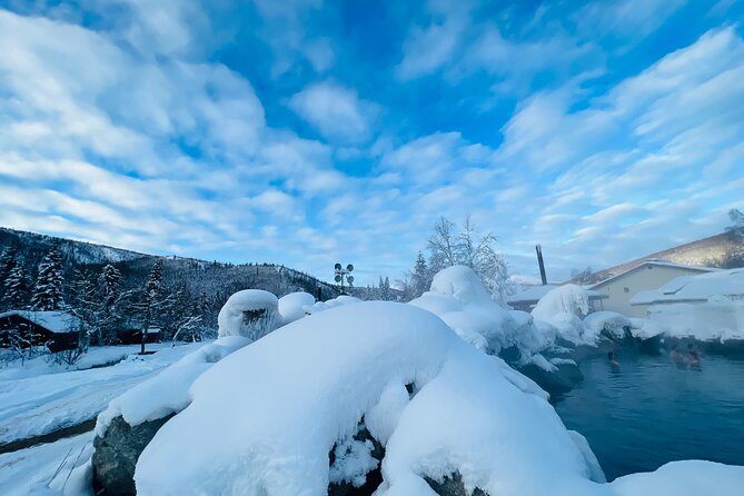 Chena Hot Spring Day Tour - Guide service beyond simple transportation