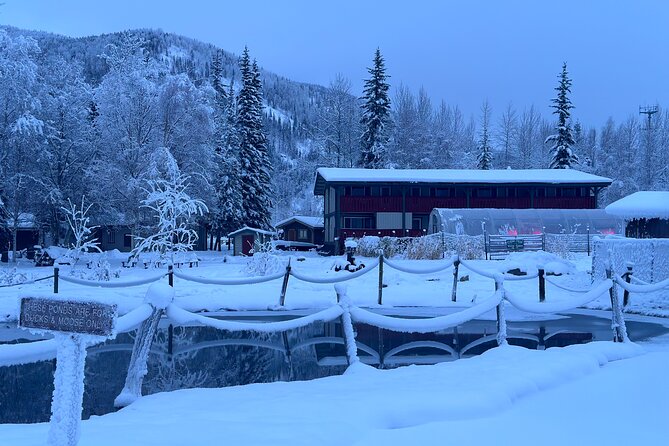 Chena Hot Spring Day Tour - Who will enjoy this day most?
