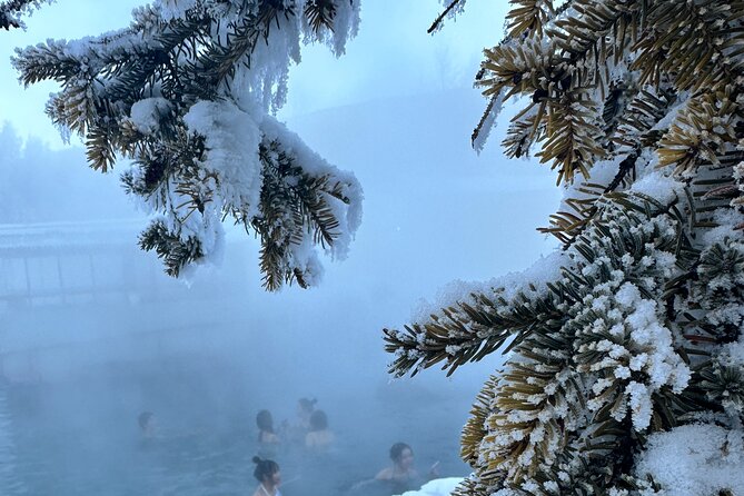 Chena Hot Spring Day Tour - Meeting your guide at 11 a.m.