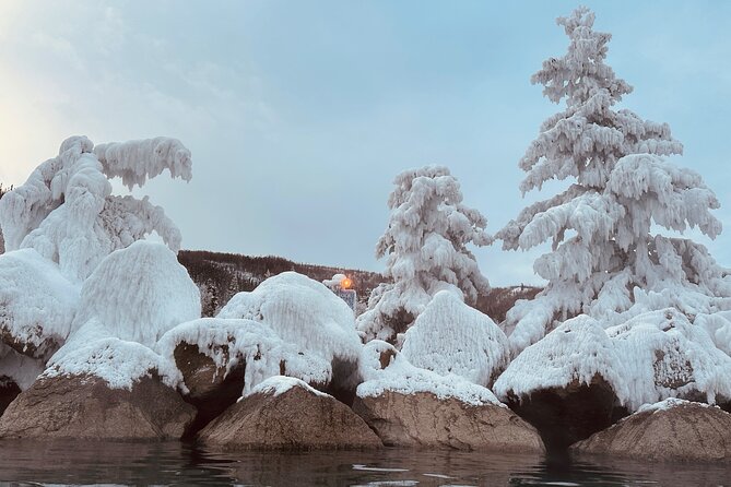 Chena Hot Spring Day Trip - What the $190 price really covers