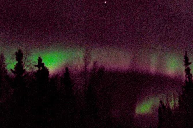 Chena Hot Springs Aurora Tour - Dinner at the Alaska restaurant or Aurora Cafe