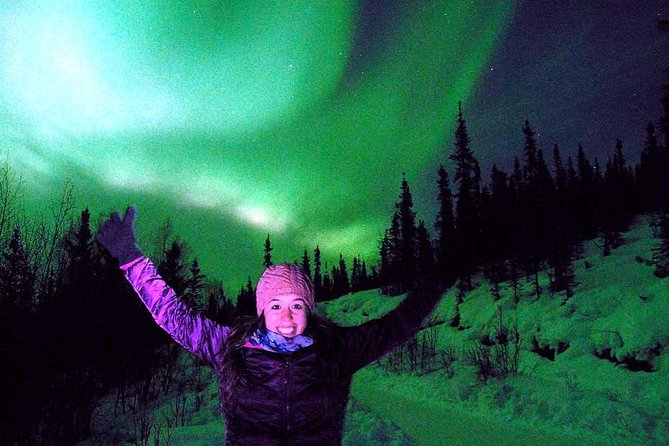 Chena Hot Springs Aurora Tour - The ride through Tanana Valley State Forest
