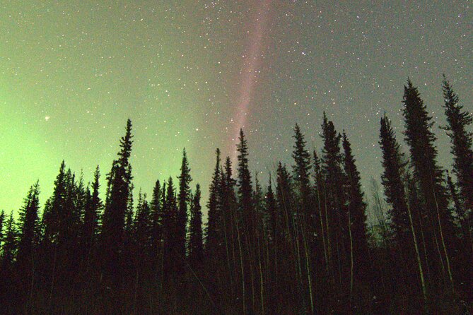 Chena Hot Springs Northern Lights Aurora Borealis From Fairbanks - Who will enjoy this Chena Hot Springs tour?