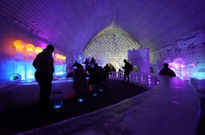 Chena Hot Springs plus Aurora Chase Tour - Booking timing and weather risk