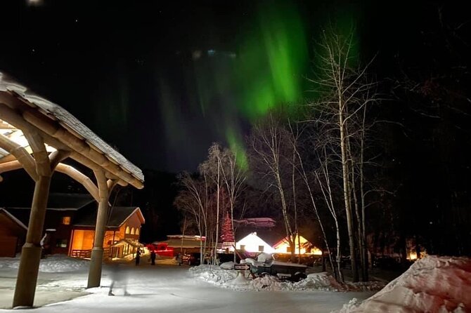 Chena Hot Springs Round Trip Tour - What the $220 Price Really Buys