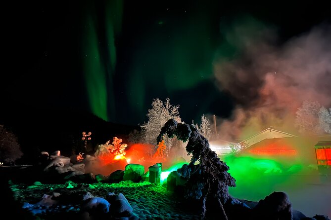 Chena Hot Springs Round Trip Tour - Four Hours at the Resort