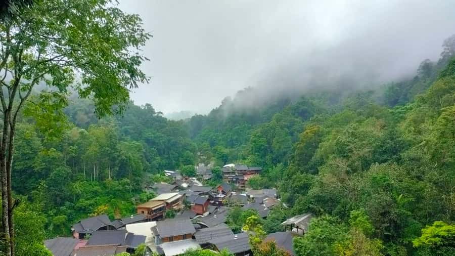 Chiang Mai: Mae Kampong Village, Hot Springs & Bor Sang Tour - Why this eight-hour outing works
