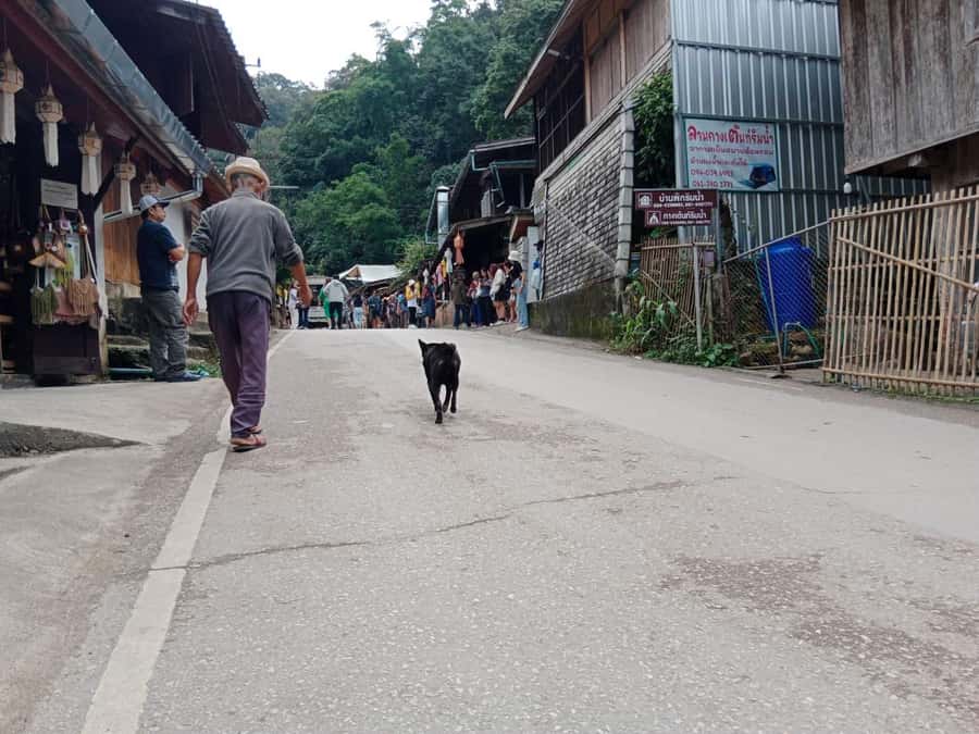 Chiang Mai: Mae Kampong Village, Hot Springs & Bor Sang Tour - Bo Sang and the careful work behind an umbrella