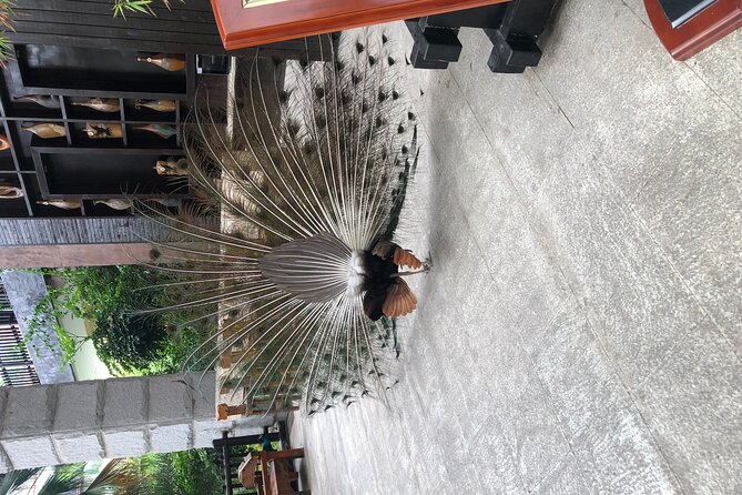 Chongqing Luxury Hot Spring and Massage Luxury Meal Private Tour - Timing, transport, and the private format