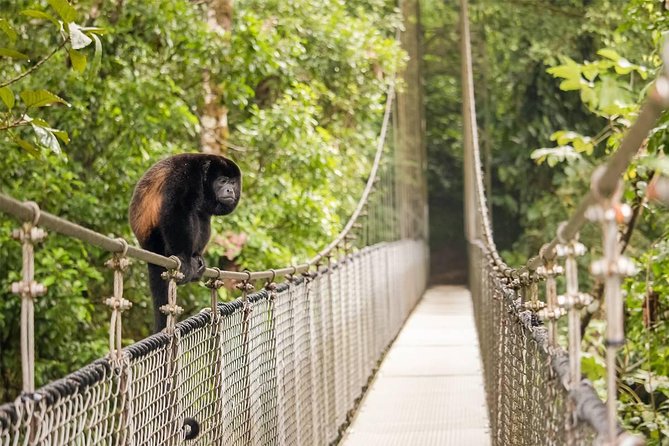 Combo Arenal : Suspension Bridges + Hot Springs + Fortune Falls - Why this Arenal combination works