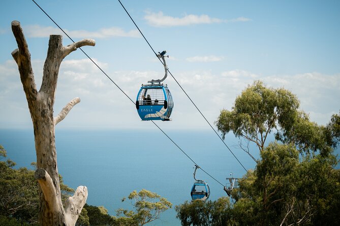 Depart Peninsula: Mornington Wine & Hot Springs Tour with Lunch - Quick points to know