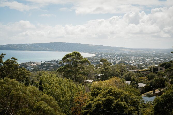 Depart Peninsula: Mornington Wine & Hot Springs Tour with Lunch - Arthur’s Seat and the 100-meter summit walk