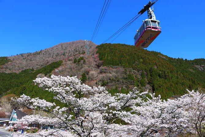 Discover Beppu and Yufuin Nature and Onsen Trip - The changeover: private car to local bus