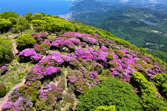 Discover Beppu and Yufuin Nature and Onsen Trip - Lake Kinrinko, Yufuin’s quiet finish