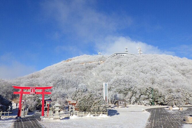 Discover Beppu and Yufuin Nature and Onsen Trip - Yunotsubo Kaido, Yufuin’s shopping street