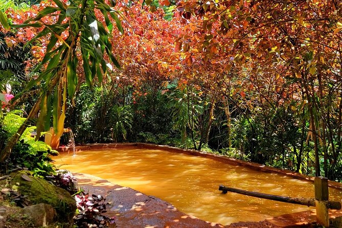 Dominica Adventure Hiking, Swimming, and Hot Springs Tour - Why this Dominica day tour works