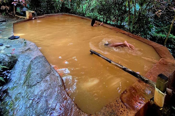 Dominica Adventure Hiking, Swimming, and Hot Springs Tour - What the $120 price really covers