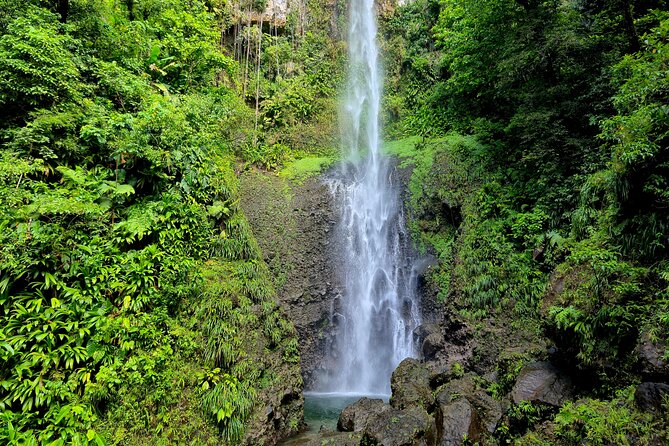 Dominica Adventure Hiking, Swimming, and Hot Springs Tour - The Middleham Falls hike takes center stage