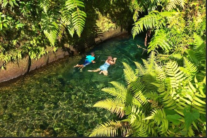 Dominica Hot Springs Waterfalls & Titou Gorge Treasures - What this five-hour Dominica trip actually offers