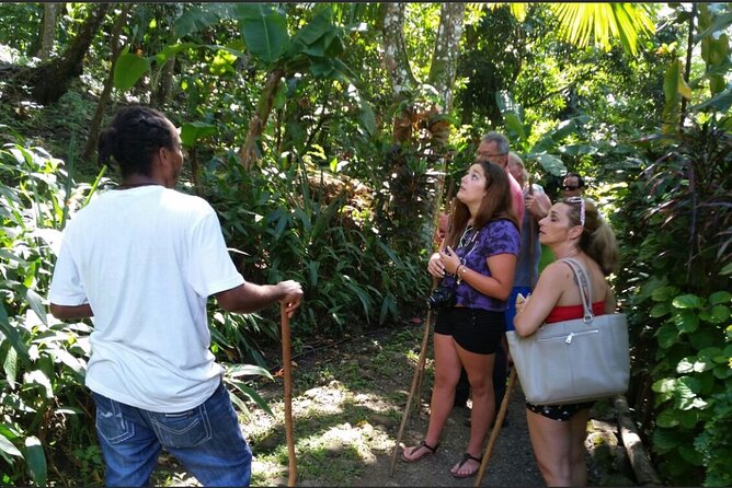 Dominica Hot Springs Waterfalls & Titou Gorge Treasures - Who will enjoy this Dominica tour most?