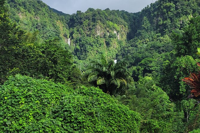 Dominica Scenic Waterfalls and Hot Springs @ Autop Tours - Five things to know before booking