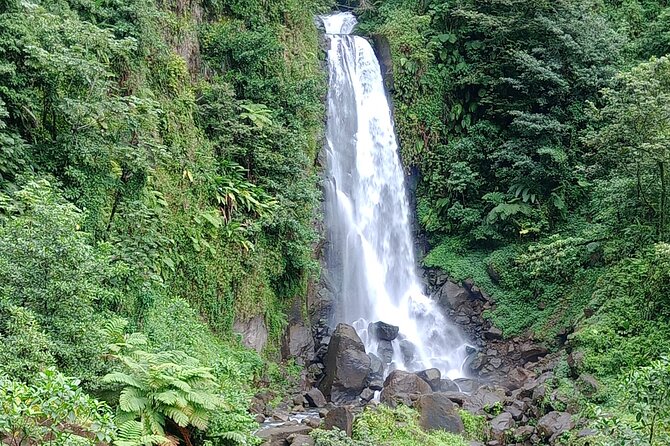 Dominica Scenic Waterfalls and Hot Springs @ Autop Tours - Trafalgar Falls: twin cascades with little walking