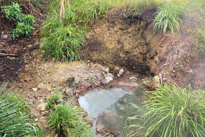 Dominica Scenic Waterfalls and Hot Springs @ Autop Tours - The road back reveals Dominica’s stories