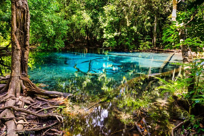 ECO Premium Jungle Hot Springs and Temple Tour - A private hot spring instead of the public pools