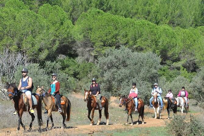 Ephesus Full Day Tour & Horse Safari + Lunch - Opt Turkish Bath - What the price really means
