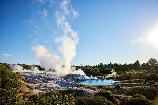 Ex Auckland: Rotorua Māori Village with Haka and Hot Springs - Two hours at the Polynesian Spa