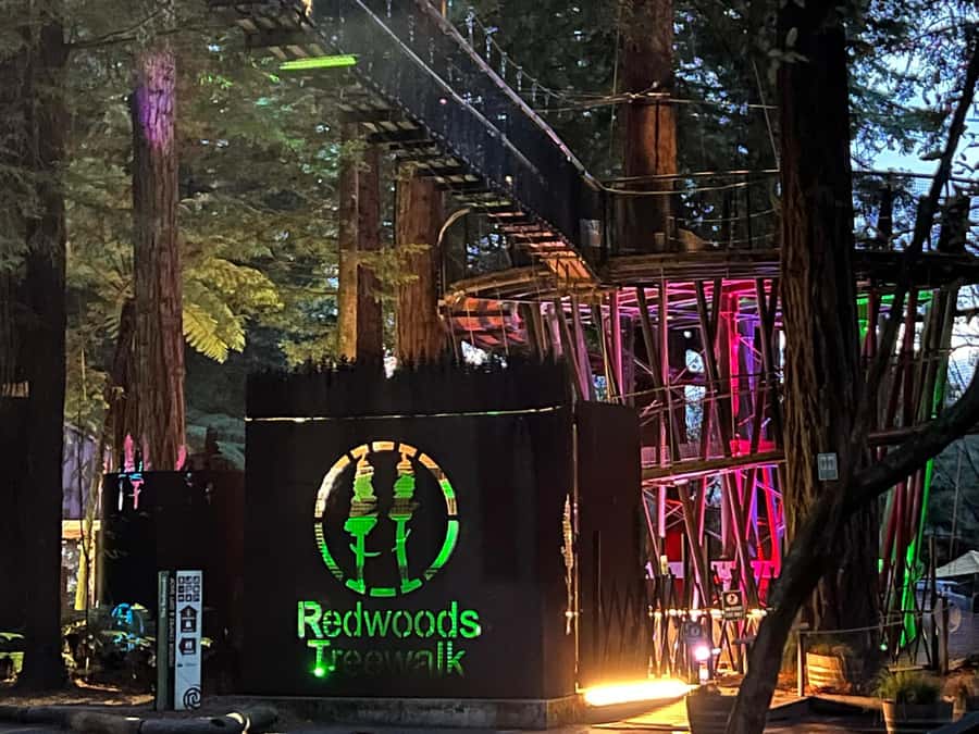 Ex Auckland: TE PUIA Geothermal, Redwood & Blue Springs - Te Puia brings geothermal Rotorua to life